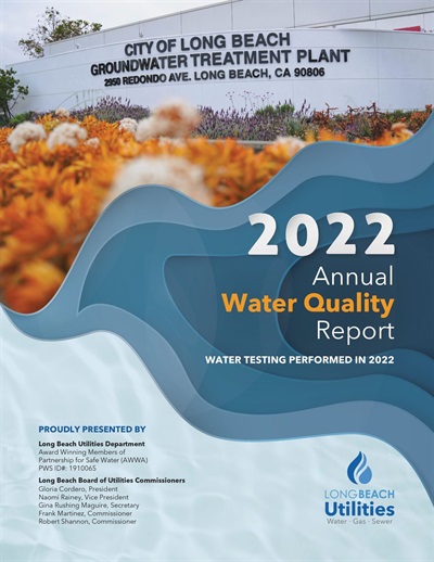 cover of the 2022 annual water quality report